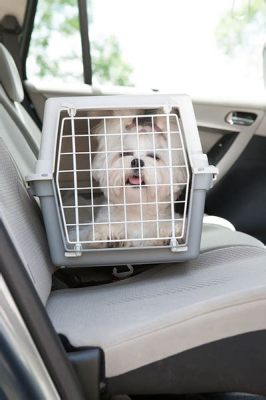 how to transport a puppy in a car without a crate