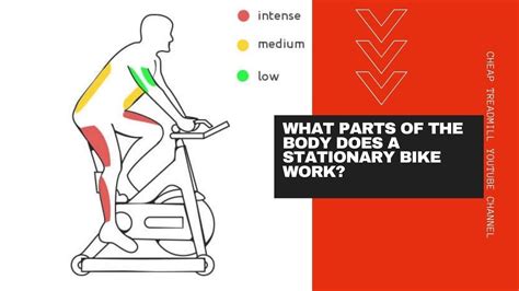 what muscles does an exercise bike work what kind of music should you listen to while exercising on a bike